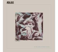 Midlake - For The Sake Of Bethel Woods