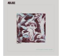 Midlake - For The Sake Of Bethel Woods