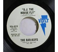 Midnight Cowboy / A.J. The House Fly