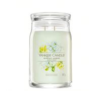 Midnight Jasmine Signature Large Jar Candle 567 g Tagli Unicavetro