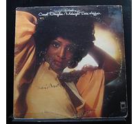 Midnight Love Affair