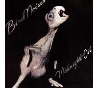 Midnight Oil - Bird Noises