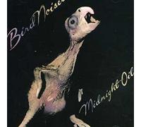 Midnight Oil - Bird Noises