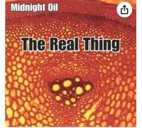 Midnight Oil - Real Thing