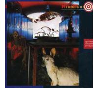 Midnight Oil - Species Deceases