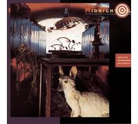 Midnight Oil - Species Deceases