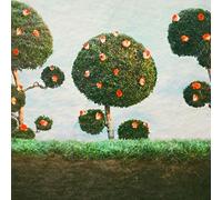 Midnight Sister - Painting The Roses