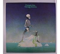 MIDNIGHT SUN - walking circles