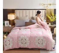 MIDUOLAI Trapunte di Lusso in Puro Cotone, Piumino Quattro Stagioni, Piumino Stampato, Piumino Singolo Matrimoniale King Size, Trapunta Classica,C,220 * 240cm/4kg