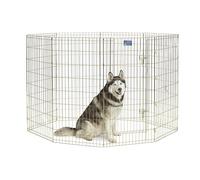 MidWest Homes for Pets 548-48, Recinto per animali in metallo, pieghevole, con porta e picchetti, offre 1,5 metri di spazio per giocare e muoversi, 122 cm di altezza, oro zinco