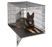 MidWest Homes for Pets XL LifeStages - Gabbia per cani pieghevole, 122 cm, per una maggiore sicurezza, con vaschetta a prova di perdite, pannello divisorio, maniglia, piedini in gomma