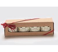Miele Biologico Italiano non Pastorizzato Confezione Regalo di Cartone 4 Migon | Apicoltura Colle Salera (Stregonia-Castagno-Lupinella-Melata di Bosco)
