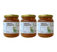 Miele Di Eucalipto 3x500 g