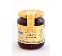 Miele di melata di bosco italiana - vasetto 1 kg