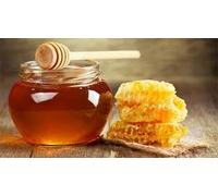 Miele di Sulla PURO no commerciale no da supermercato, GardenSicily Miele dell'Etna contivato in apiculture non intensive in mezzo al bosco di Zafferana etnea. Puro, no additivi, senza aggiunta dinulla. solo Miele 100% (250gr, di Sulla)