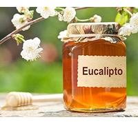 Miele Eucaliptus PURO no commerciale no da supermercato, GardenSicily Miele dell'Etna contivato in apiculture non intensive in mezzo al bosco di Zafferana etnea. Puro solo MIELE 100% (250gr, di Eucaliptus)