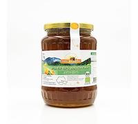 Miele grezzo di foresta BIO di ImkerPur, non centrifugato o riscaldato, contiene polline di fiori, cera d'api e altri ingredienti naturali (1000 g)