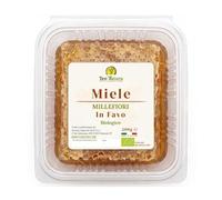 Miele in Favo Grezzo Biologico 200g - Italiano | Favo Integro con Cera d'Api | Apiari Propri di Marsala, Sicilia | Certificato IT BIO 005 - Made in Sicily - TeoNatura