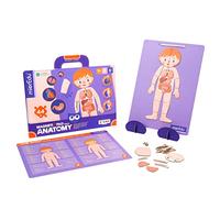 MIER EDU Magnetic Pad Anatomia ME0511