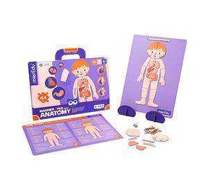 MIER EDU Magnetic Pad Anatomia ME0511
