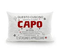 Migliore Capo del mondo Speriamo che ogni volta che abbracci questo cuscino ti ricordi quanto ti stimiamo e apprezziamo Federe per donna Capo compleanno Regalo di Natale Regalo di apprezzamento