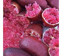Migliori Semi Giardino importato originale Red Rose Finger semi Lime Pomegrante Plant, 10 semi, confezione professionale, un must per il giardino di piante rare