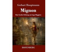Mignon: Eine Goethe-Sichtung am Lago Maggiore