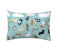 Migpkd Federa decorativa per cuscino con gatti e cani che piovono per la casa, 30,5 x 45,7 cm
