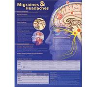 Migraines and Headaches Anatomical Chart