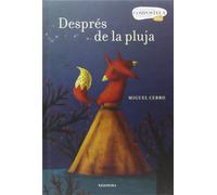 Miguel Cerro Marta Morro Després de la pluja (Llibres per a somniar (Tascabile)