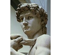 MiguOo Tela Stampe Artistiche Stampe Poster Art Pittura Classica David Particolare della testa di Michelangelo Buonarroti Per L'arredamento Dell'ufficio 60x90cm
