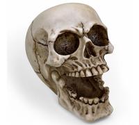MIJOMA Posacenere gotico - teschio con bocca aperta - teschio spaventoso in poliresina - decorazione e posacenere in uno - 13 cm di altezza, 14,5 cm di profondità, 10 cm di larghezza