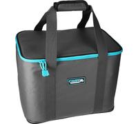 Mikado Borsa da pesca, borsa termica per esche da pesca, 37,5 cm x 29,0 cm x 25,5 cm, grigio., Borsa frigo