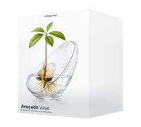 MikaMax Vaso di avocado in vetro per nucleo di avocado, coltivazione idroponica, propagazione di piante trasparente, design moderno, decorazione per la casa, 21,5 x 14 x 17 cm