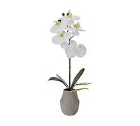MIKASA Orchidea artificiale in vaso, orchidea Phalaenopsis Real Touch, vaso di cemento a tessuto goffrato, ramo singolo da 36 pollici, bianco/giallo