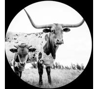 Mike Flanigin West Texas Blues (Vinyl LP)