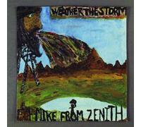 Mike From Zenith - Weather The Storm