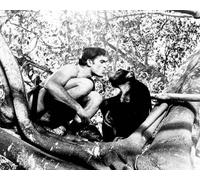 Mike Henry Tarzan E Il Ragazzo Della Giungla [1039003] Foto 8x10 O Poster