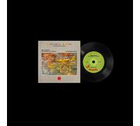 Mike Lindsay feat. Guy Garvey/Ka The Endless Coloured Ways: The Songs (Vinyl LP)