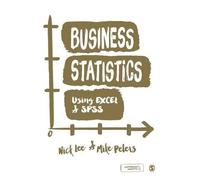Mike Peters Nick Lee Business Statistics Using EXCEL and SPSS (Copertina rigida)
