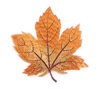 Mikikit 12 Pezzi Patch Adesive Termofusibili a Forma di Foglia D’acero Ricamata Marrone Giallo, Toppe per Abbigliamento Fai da Te per Decorare e Riparare Jeans, Borse, Camicie e Accessori