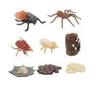 Mikikit 2 set Modelli Ciclo Insetti Educativi Ragazzi e Ragazze Kit Cognitivo con e Cicala in Plastica Liscia Giocattoli Didattici per Apprendimento Naturale e Sviluppo Cognitivo