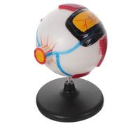 Mikikit Anatomico Occhio Ingrandito in Plastica Sicura di Oculare Smontabile per Scuola e Didattica Scientifica