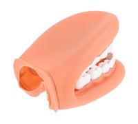 Mikikit Didattico Denti Umani per Insegnamento Della Realistico per Spiegazione e Visualizzazione Della Struttura Ottimo