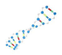 Mikikit Dna Doppia Componenti Didattici Biologia Autocostruzione Strumento Insegnamento per Studio e