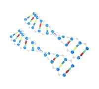 Mikinona 2 Pezzi Kit Dna Doppia per Didattica Biologia e Genetica Molecolare Assemblabile per Scuole Medie Superiori e Laboratori di Ricerca