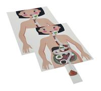 Mikinona 2 set Kit DIY Digerente Umano per Giocattolo Educativo Mani in Pasta per Ragazzi e Ragazze Materiale Manuale Didattico Corpo Umano Sviluppo Abilità Motorie e Apprendimento