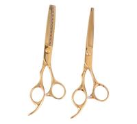 Mikinona 2Pezzi Parrucchiere Acciaio Inossidabile Lisce e Sfilzino Design Ergonomico Strumenti Professionali per Salone