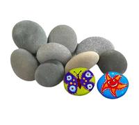 Mikiuly Pietre da Dipingere,Sassi da Dipingere,Rocce Dipinte,Ciottoli da Dipingere,Decorazioni Pietres Ciottoli,Pietre da Giardino,Sassi da Giardino,10 Pezzi