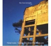 Mikolaj Trzaska, Ingebrigt Haker Flaten & Paal Nilssen- The Last Temple Vo (CD)